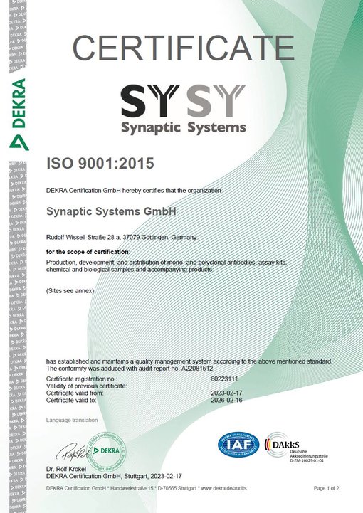 ISO 9001:2015 certificate